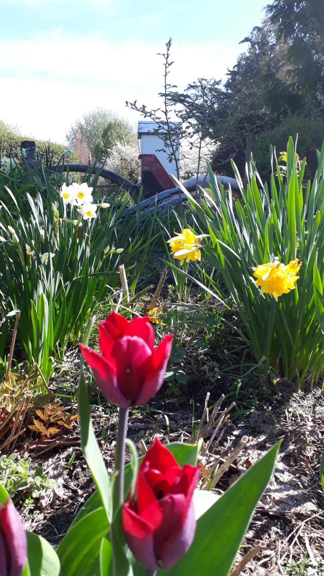 Folster Gardens Bed And Breakfast Invercargill Exteriör bild