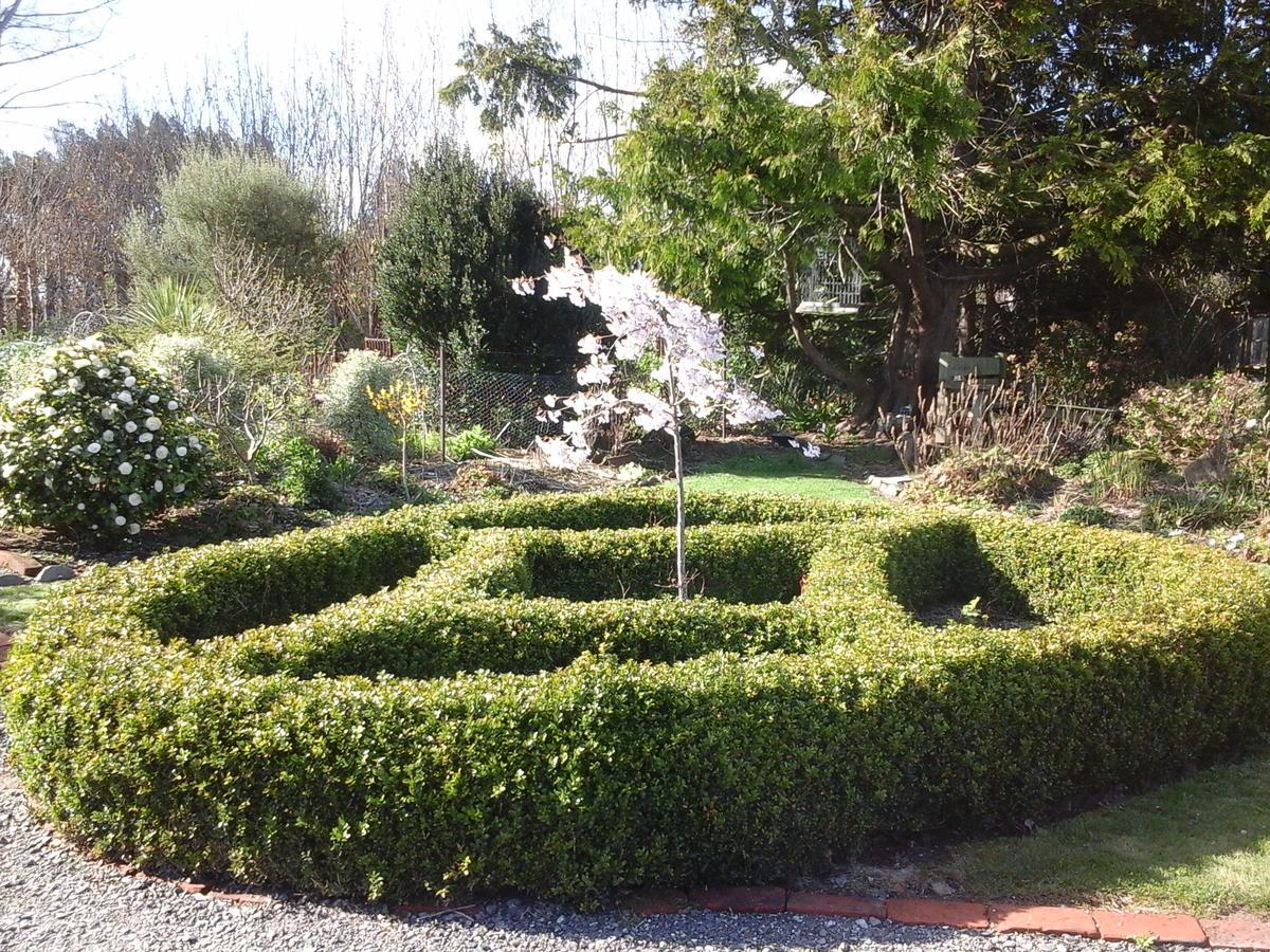 Folster Gardens Bed And Breakfast Invercargill Exteriör bild