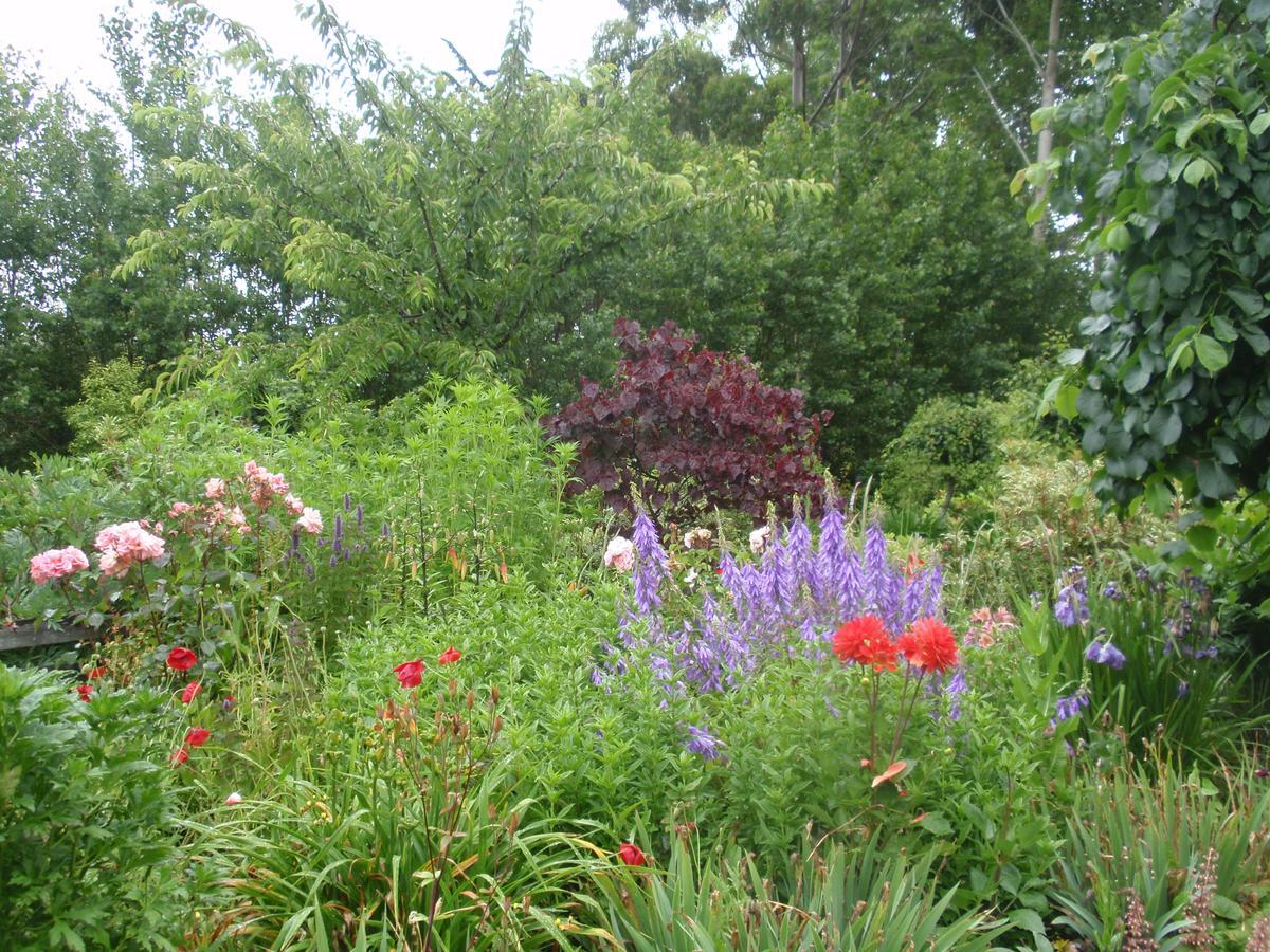 Folster Gardens Bed And Breakfast Invercargill Exteriör bild